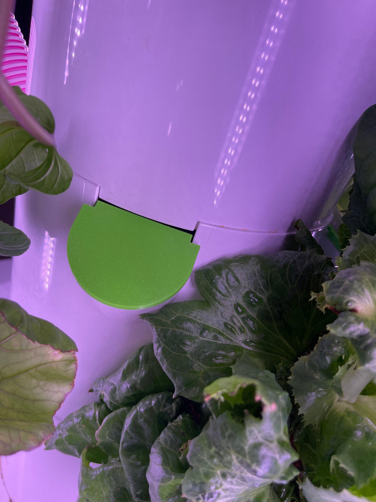 Cover Plain or "Plant Me" Lids  Lid Engraved Grow Pot Round Juice Plus+ Tower Garden Towergarden, USA Made, 3D Printed, 