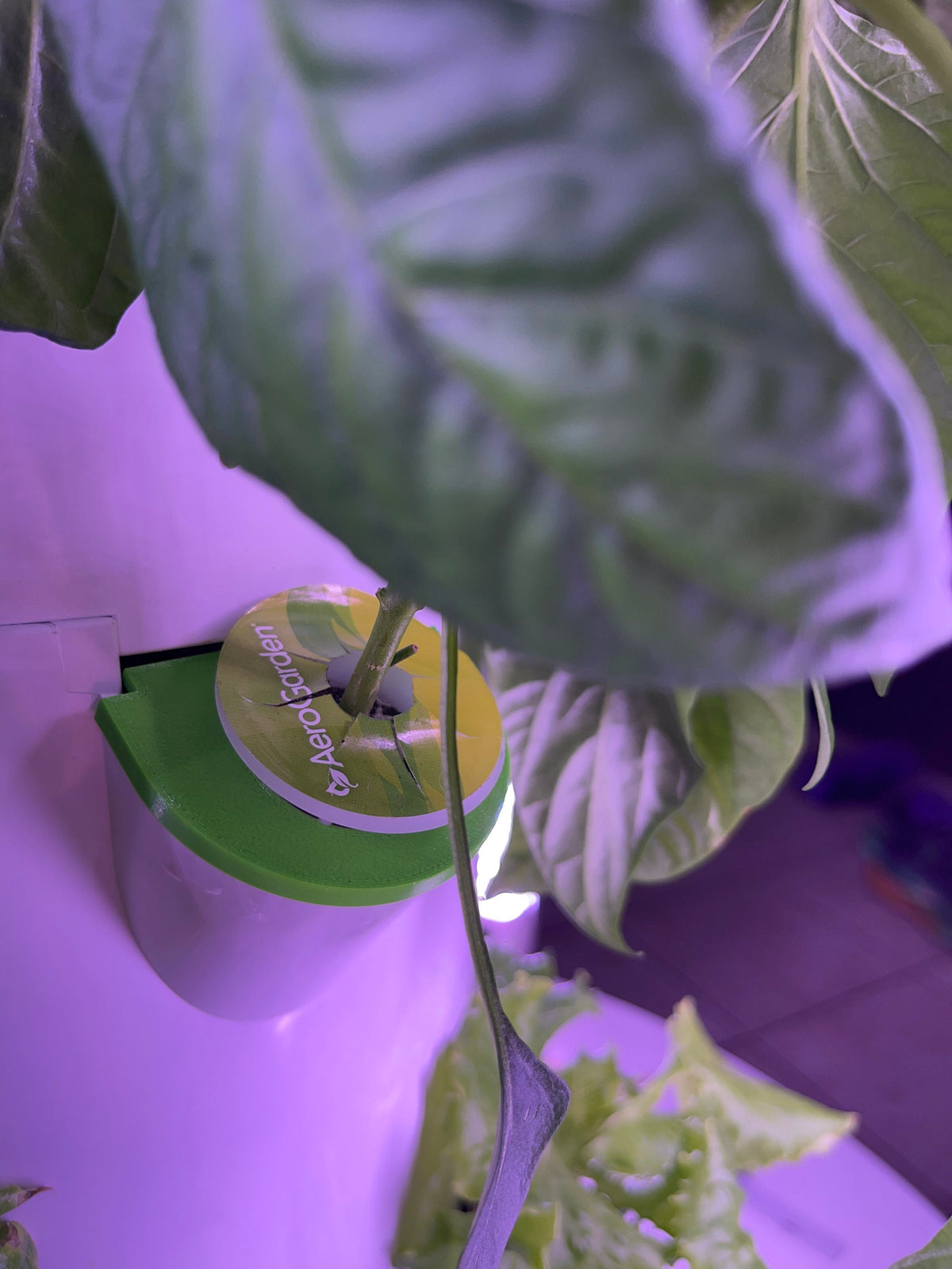 Aerogarden Juice Plus+ Tower Garden,  Grow Pot Round Cover Lid  TowerGarden Cover Adapter, USA Made, 3D Printed, PETG (P