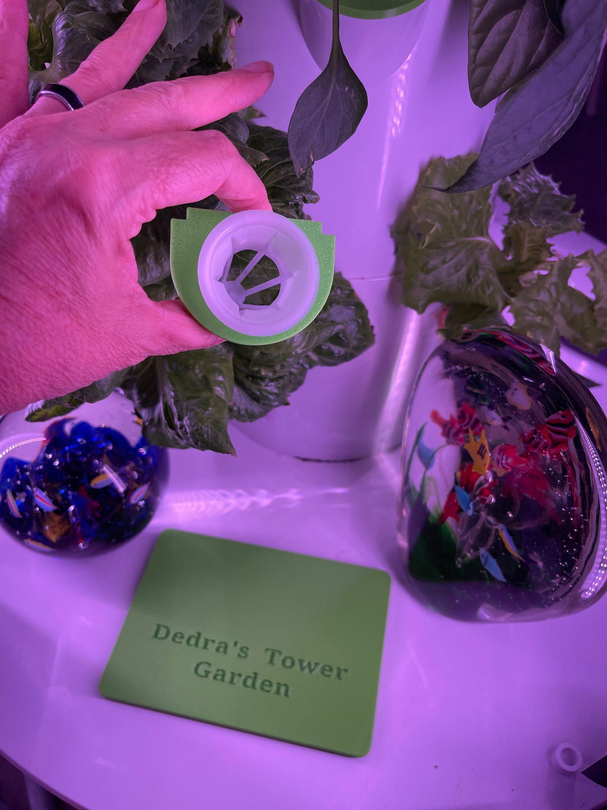 Aerogarden Juice Plus+ Tower Garden,  Grow Pot Round Cover Lid  TowerGarden Cover Adapter, USA Made, 3D Printed, PETG (P